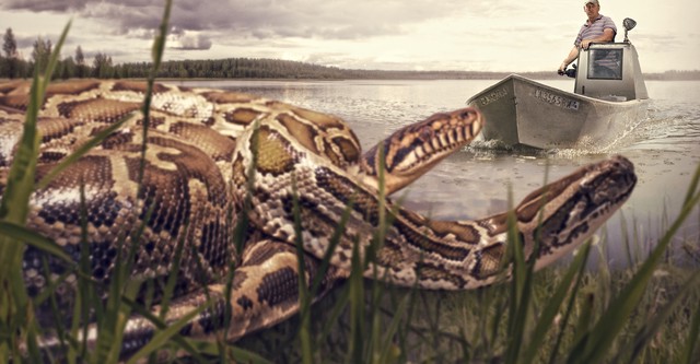 Swamp People: Serpent Invasion