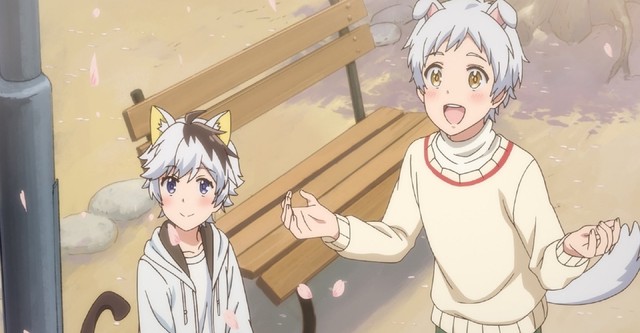 Uchitama?! Have you seen my Tama?