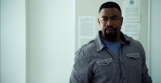 Falcon Rising