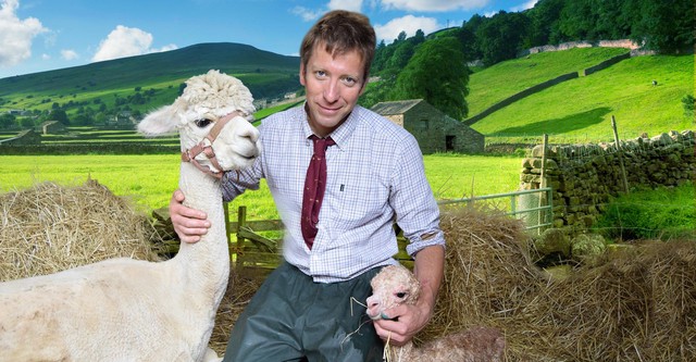 The Yorkshire Vet