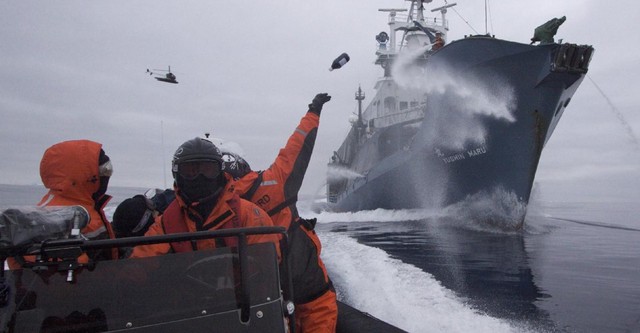 Whale Wars