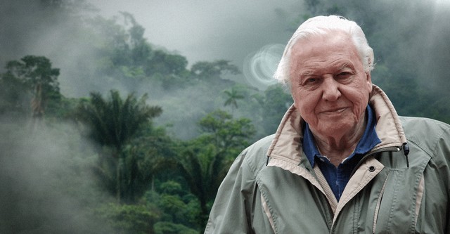 David Attenborough's Natural Curiosities
