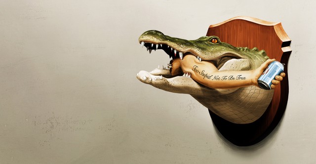 Só Acontece Na Flórida