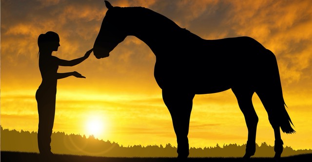 World of Horses