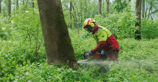 Grüne Lügen - Die Tricks mit Greenwashing