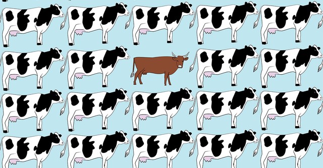 The Holstein Dilemma