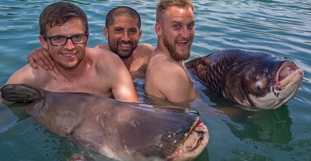 Monster Carp