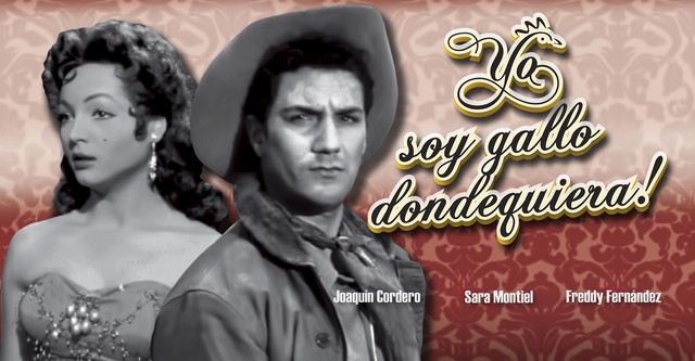 ¡Yo soy gallo dondequiera!