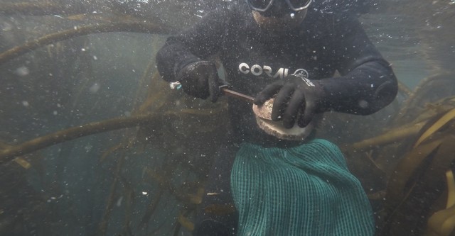 Between the Devil and the Deep