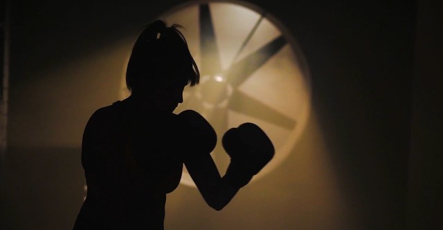Why We Fight