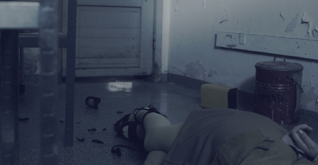 The Copenhagen Killer