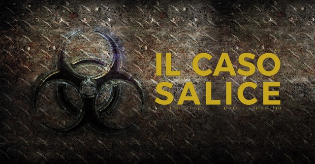 Salice's Case