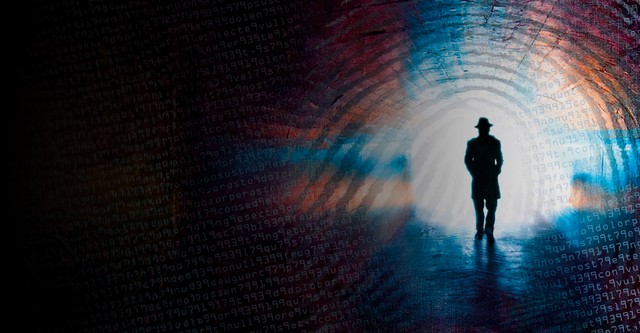 Histoires des services secrets français