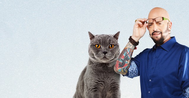 Der Katzenflüsterer