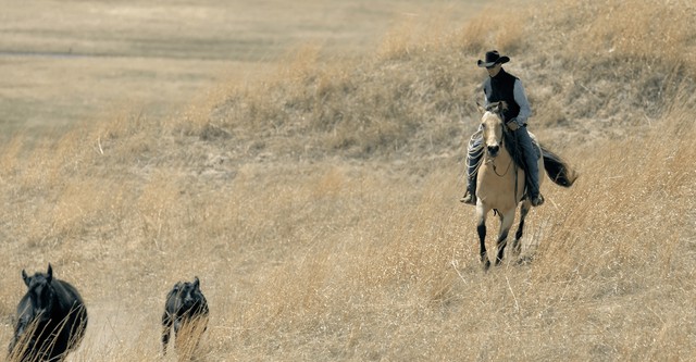 Ocean of Grass: Life on a Nebraska Sandhills Ranch