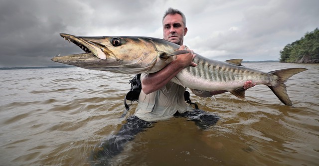 Chasing Monsters