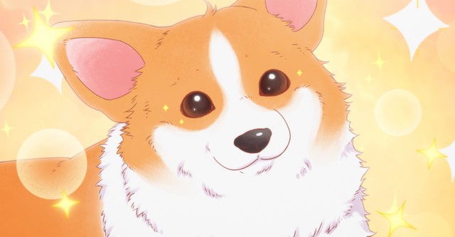 The Corgi and the Samurai