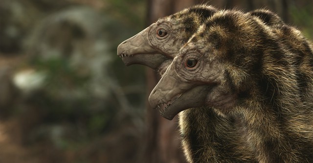 A New Prehistory