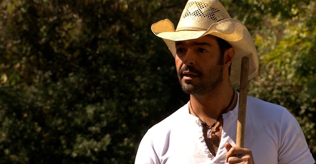 Triunfo del amor (2010)