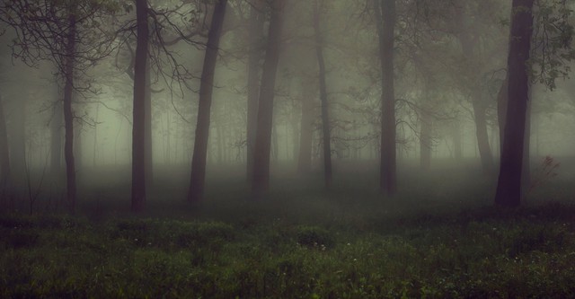 Haunted History