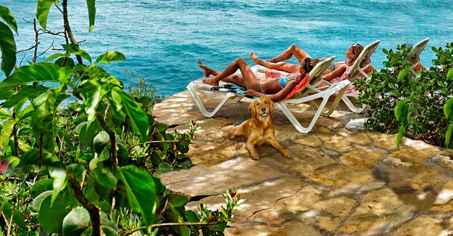 Bahamas Life