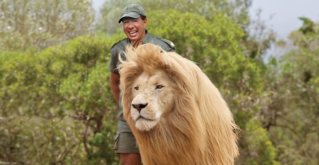 The Lion Man Adventures