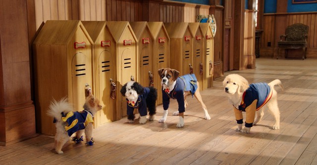 Pup Academy