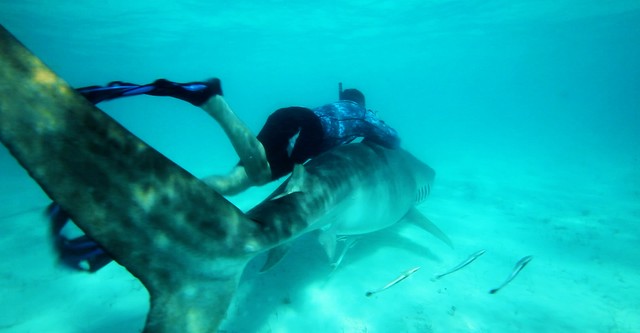 Pêche XXL