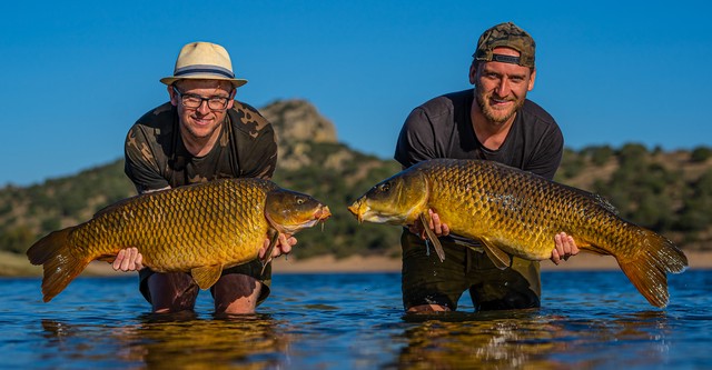 Monster Carp