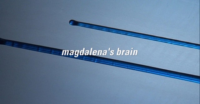 Magdalena's Brain