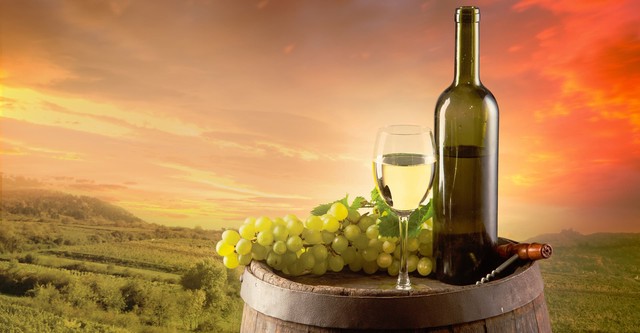 The Everyday Guide to Wine