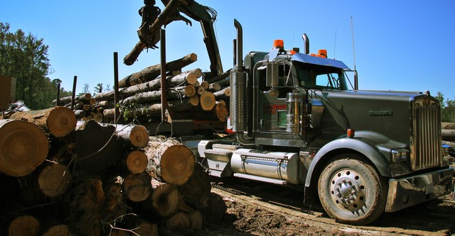 Swamp Loggers