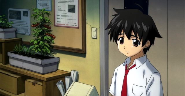 Sora no Otoshimono