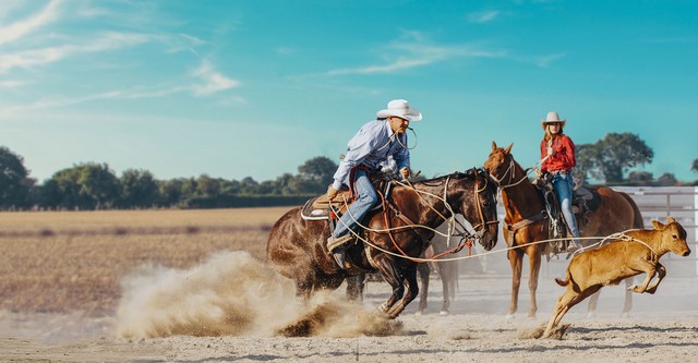 Ultimate Cowboy Showdown