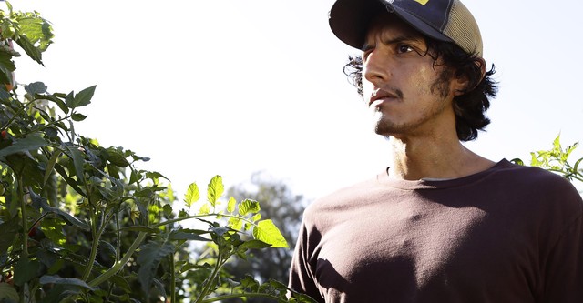American Crime