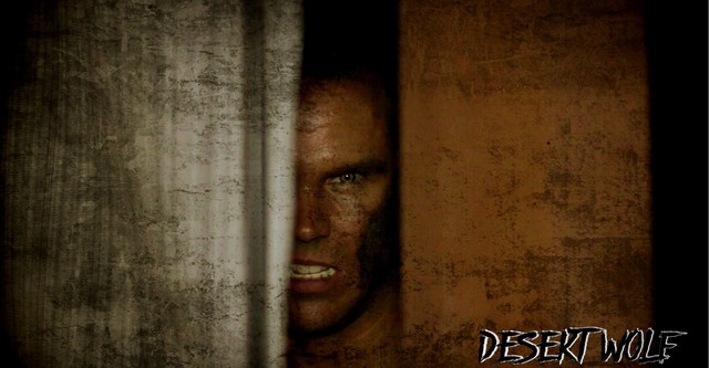 Desert Wolf