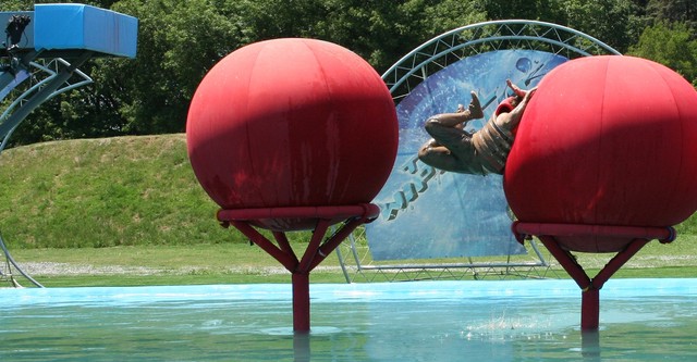 Total Wipeout: Freddie & Paddy Takeover