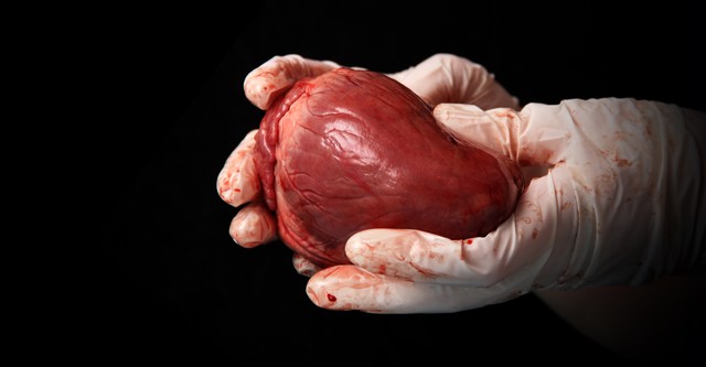 State Organs