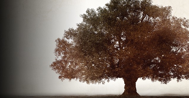 Finding Your Roots