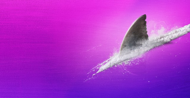 Cocaine Sharks