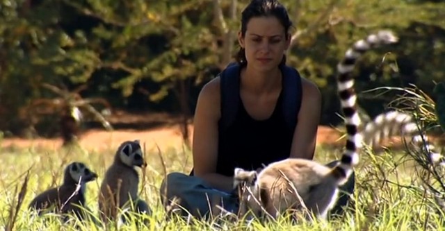 Lemur Kingdom