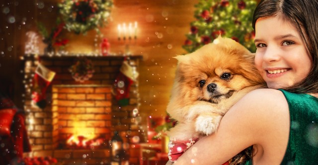 Christmas with the Pups
