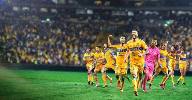 Tigres La Historia Perfecta