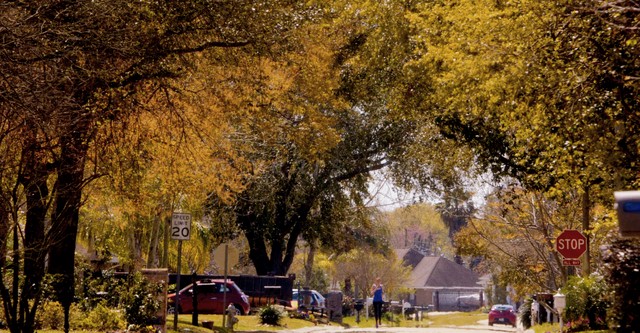 Star-Crossed - Maailmat vastakkain