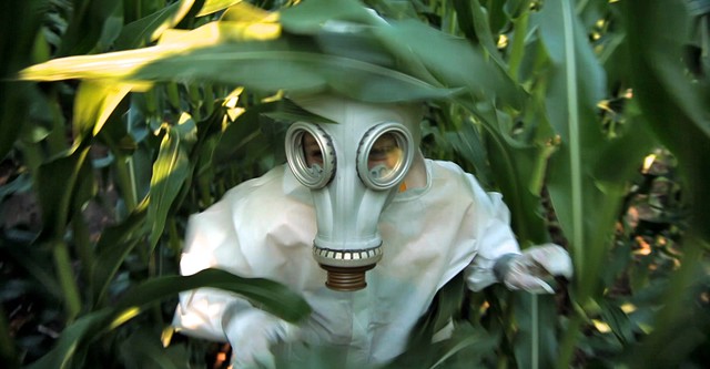 GMO OMG