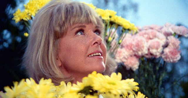 The Doris Day Show