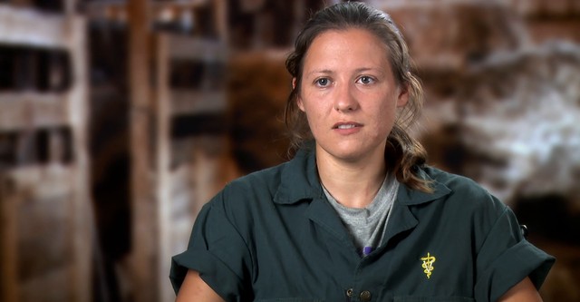 Uskomaton eläinlääkäri Pol