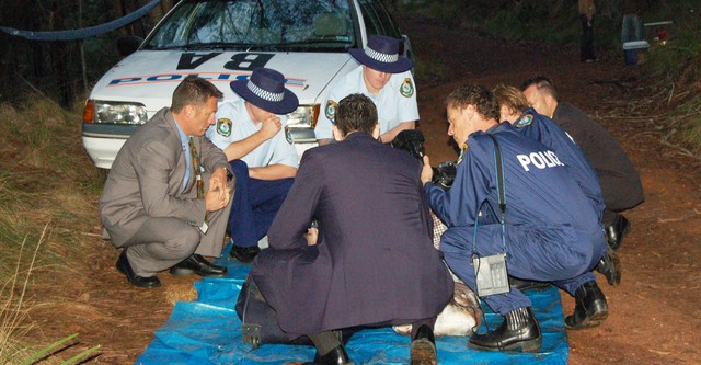 Forensic Investigators
