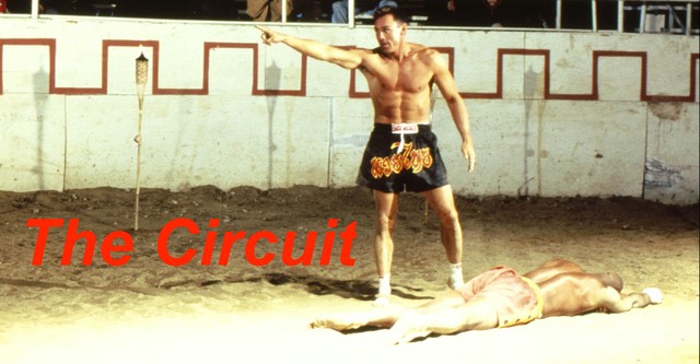 The Circuit
