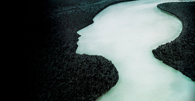The Vanishing Women